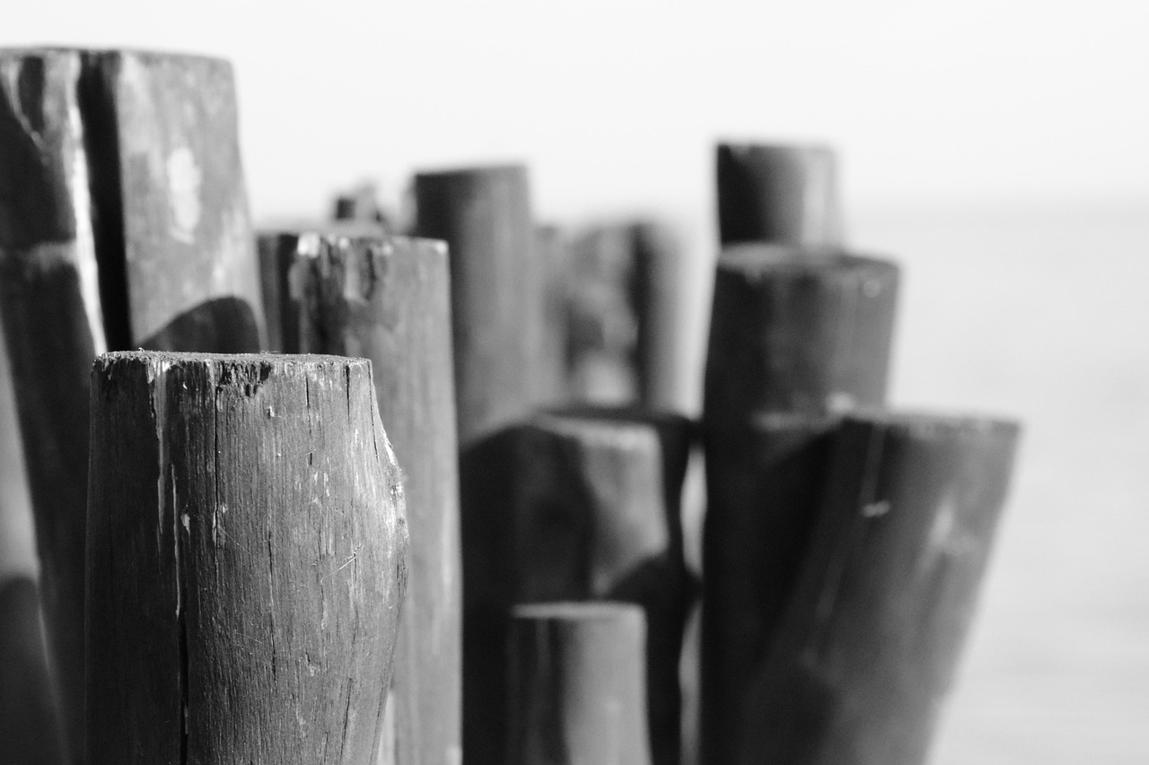 Penutupan Temporer Layanan Paspor di Imigrasi Metro